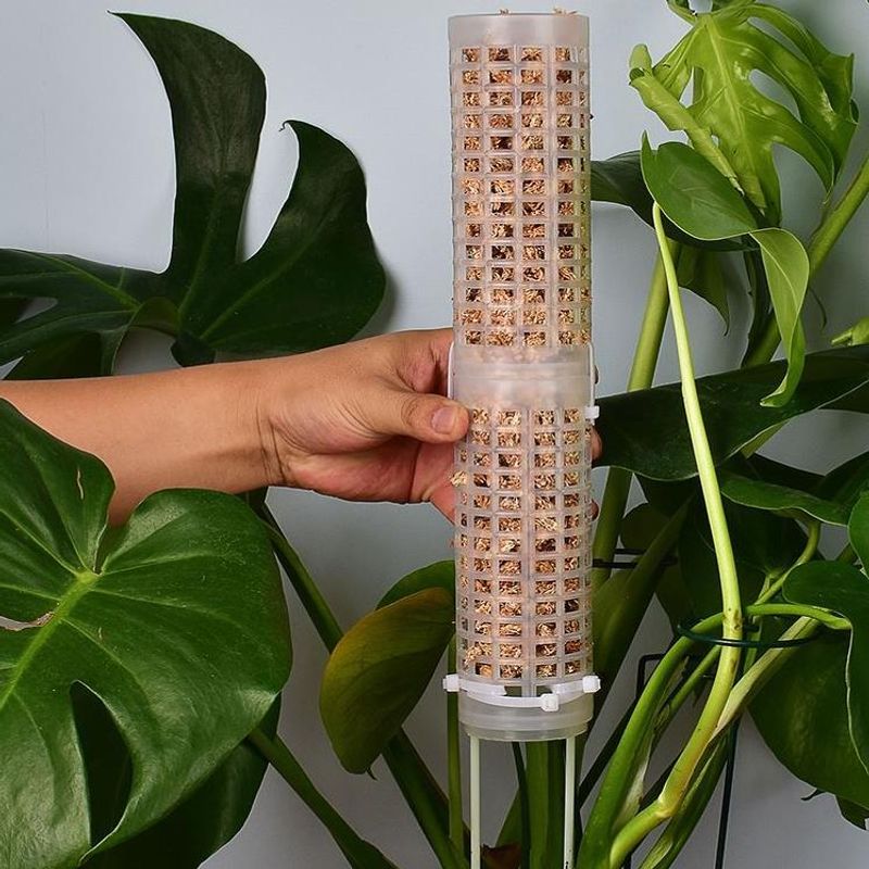 Sphagnum Moss Dry - Accessory Plastics Moss Pole Stackable Totem
