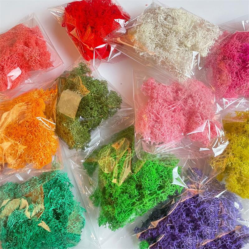 Sphagnum Moss Dry - 20-200g Artificial Green Plants Polyester Moss