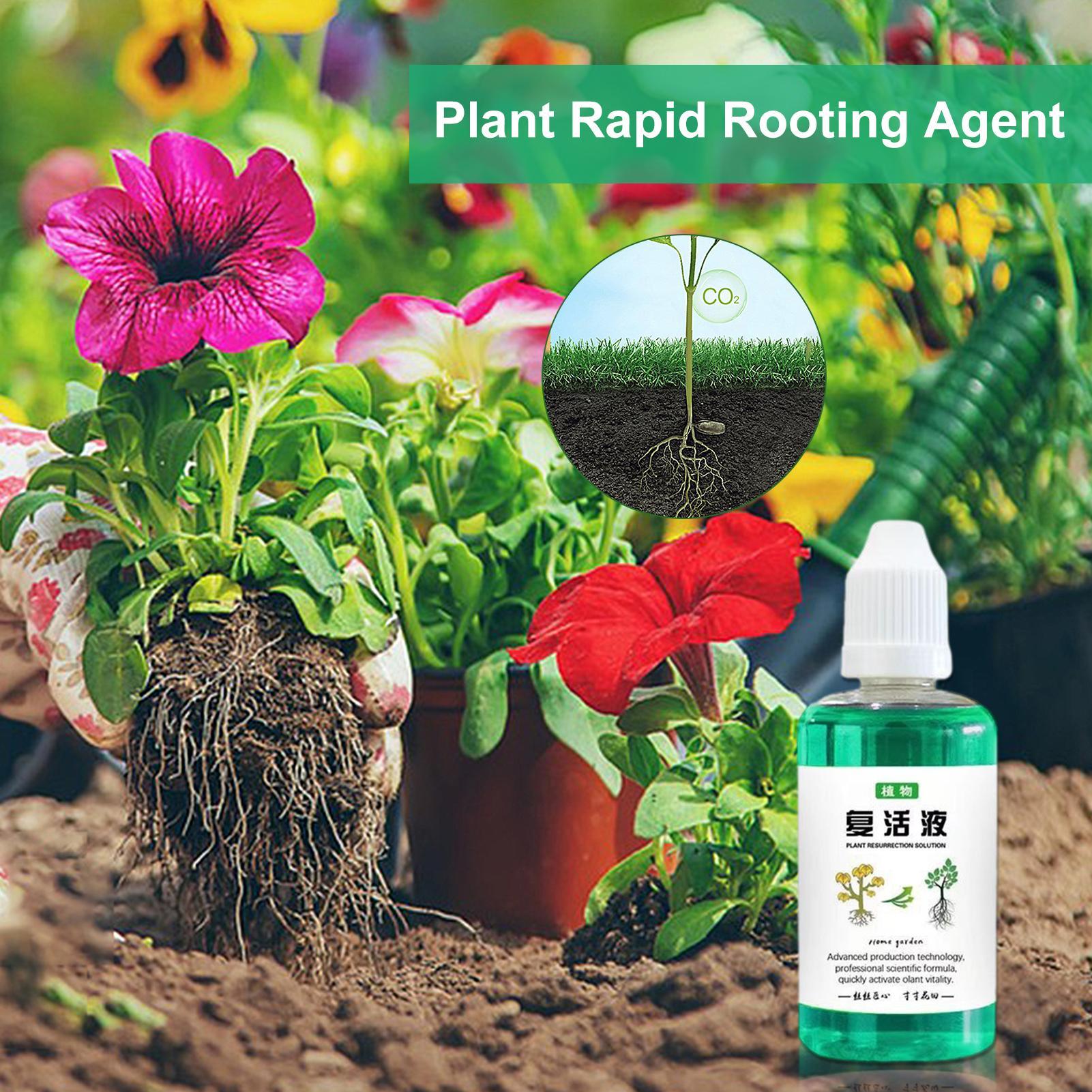 50ml Root Stimulator Plant Res - Root Stimulator Liquid 评论和价格