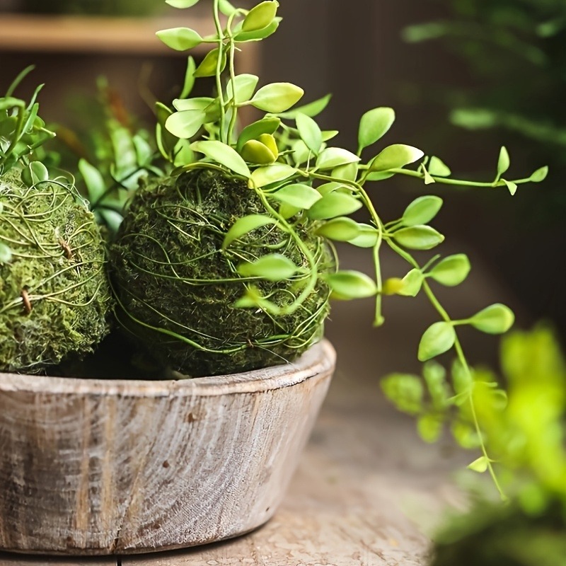 Artificial Moss Ball Planter,  - Sphagnum Moss Dry 评论和价格