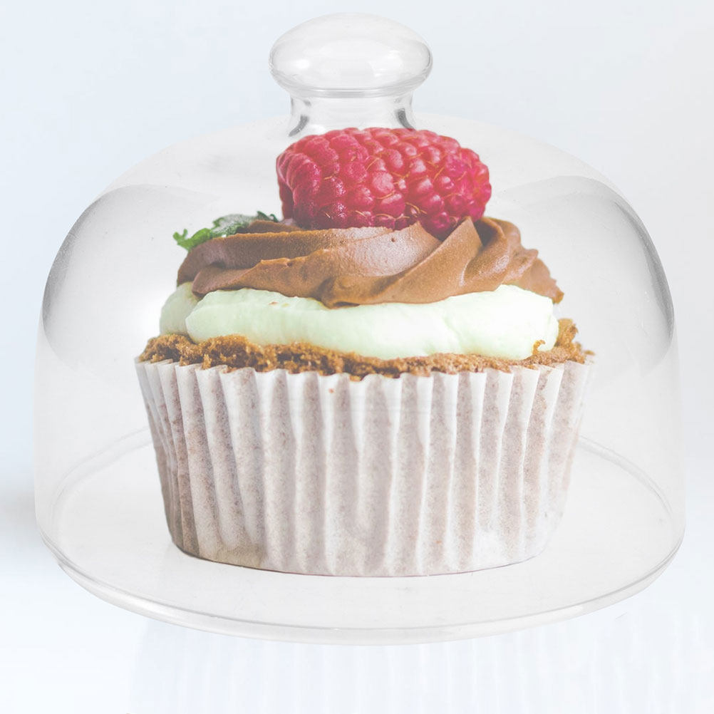 2Pcs Transparent Dust-Proof Fo - Plastic Dome Clear 评论和价格