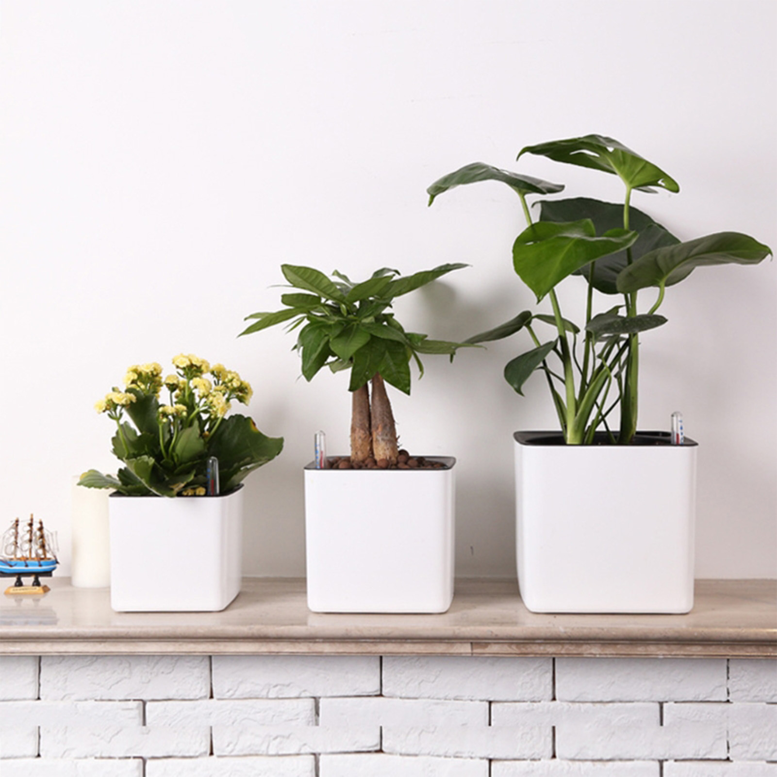 Self Watering Planter Self-wat - Self Watering Insert 评论和价格