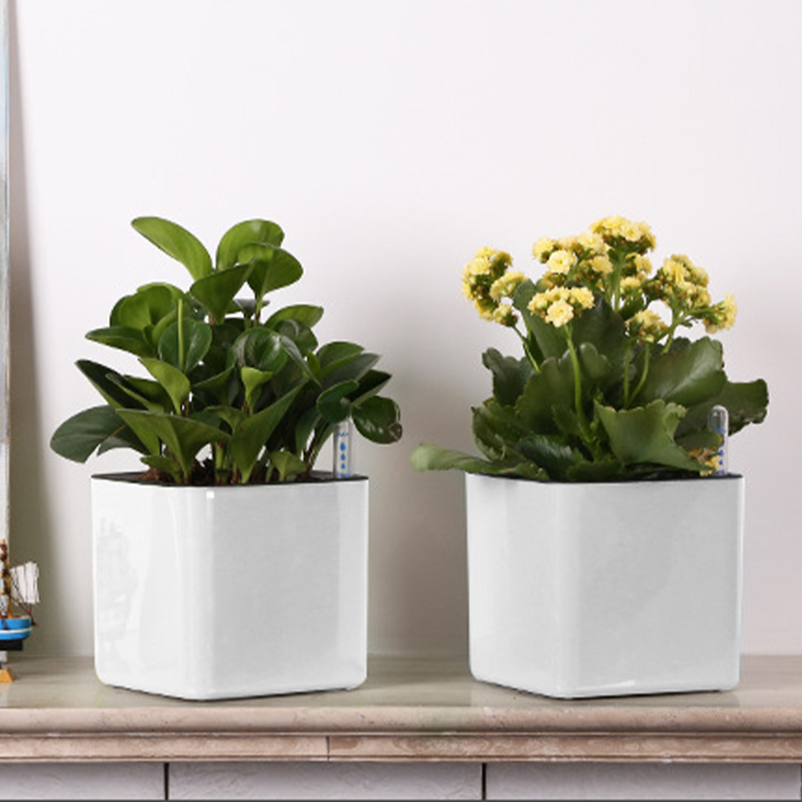 Self Watering Planter Self-wat - Self Watering Insert 评论和价格