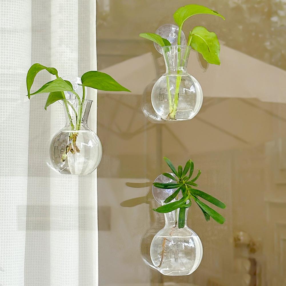 Window Planter Vase Window Pla - Propagation Station Vase 评论和价格