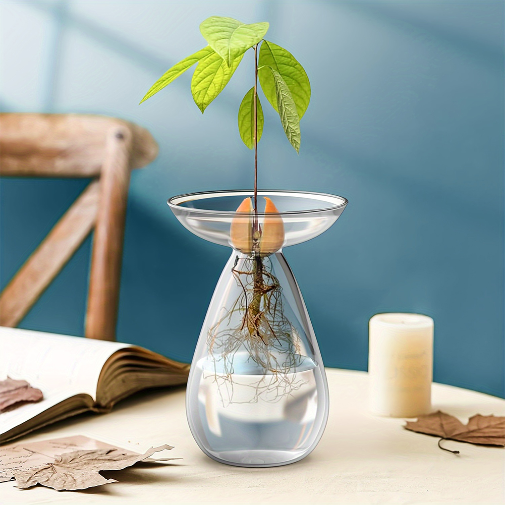 Avocado Seed Starter Hydroponi - Propagation Station Vase 评论和价格