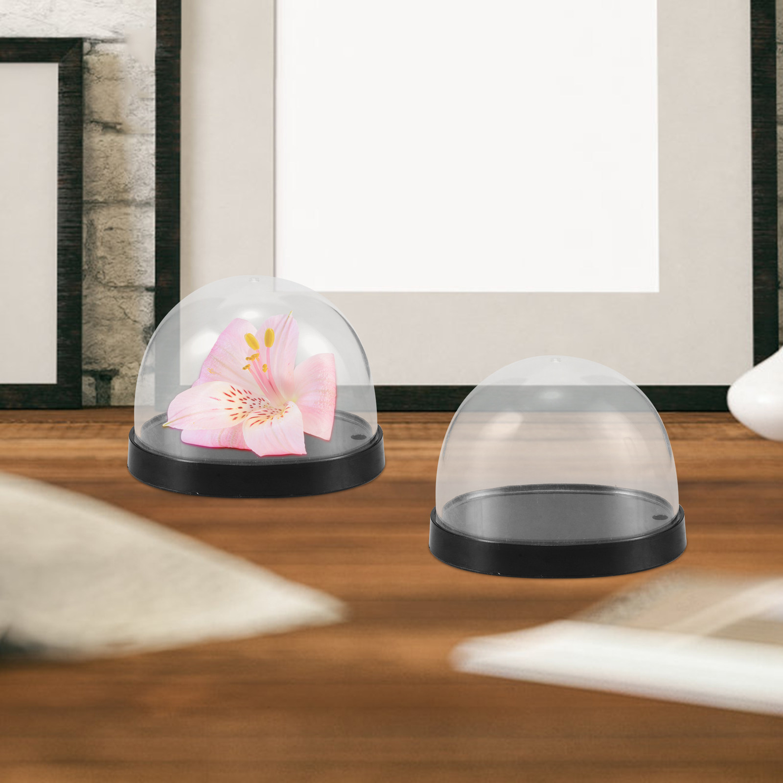 5Sets High-Transparency Plasti - Plastic Dome Clear 评论和价格