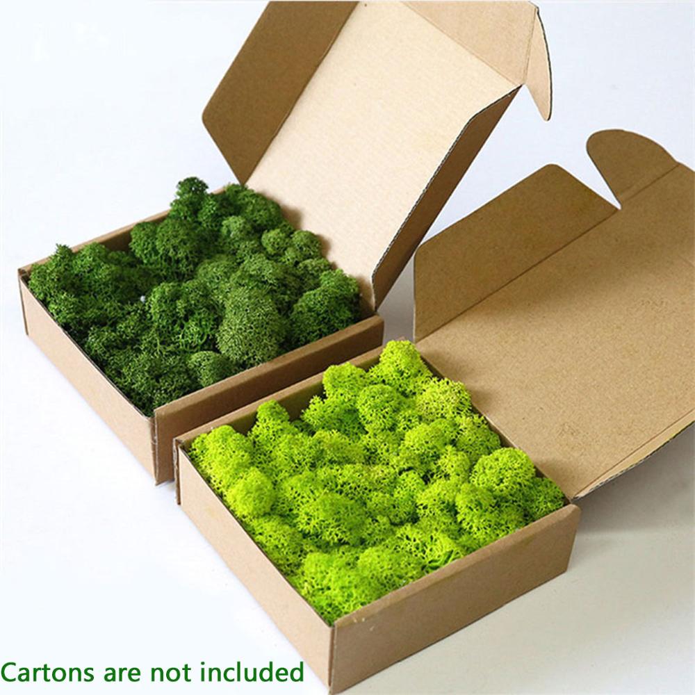 Artificial Plant Eternal Life  - Sphagnum Moss Dry 评论和价格