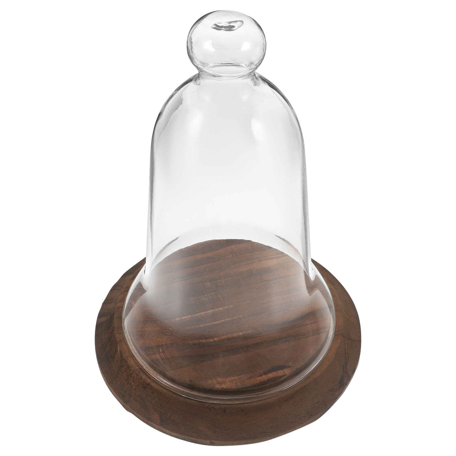 Clear Glass Cloche Dome High B - Plastic Dome Clear 评论和价格