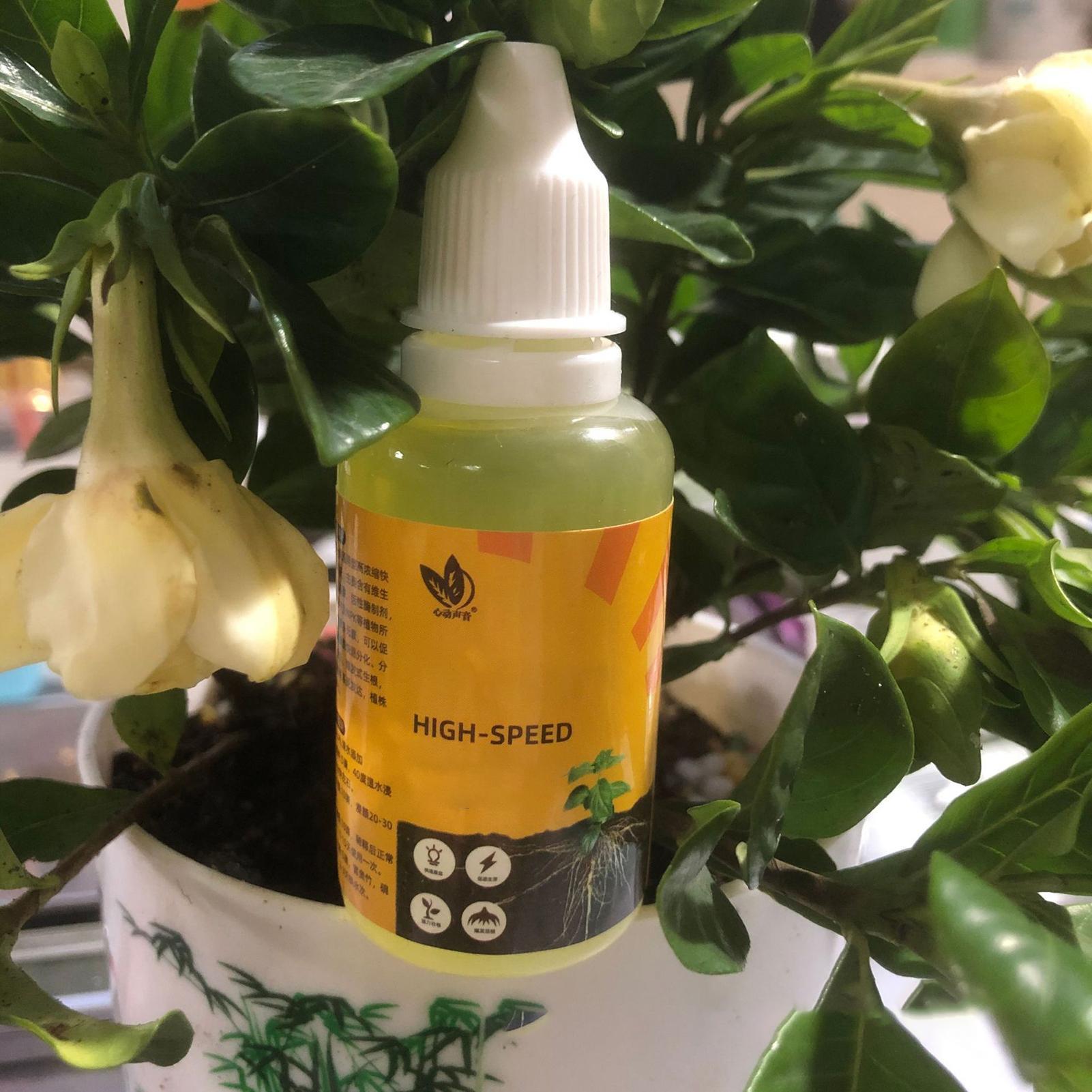 50ml Plant Rooting Stimulator  - Rooting Hormone Powder 评论和价格