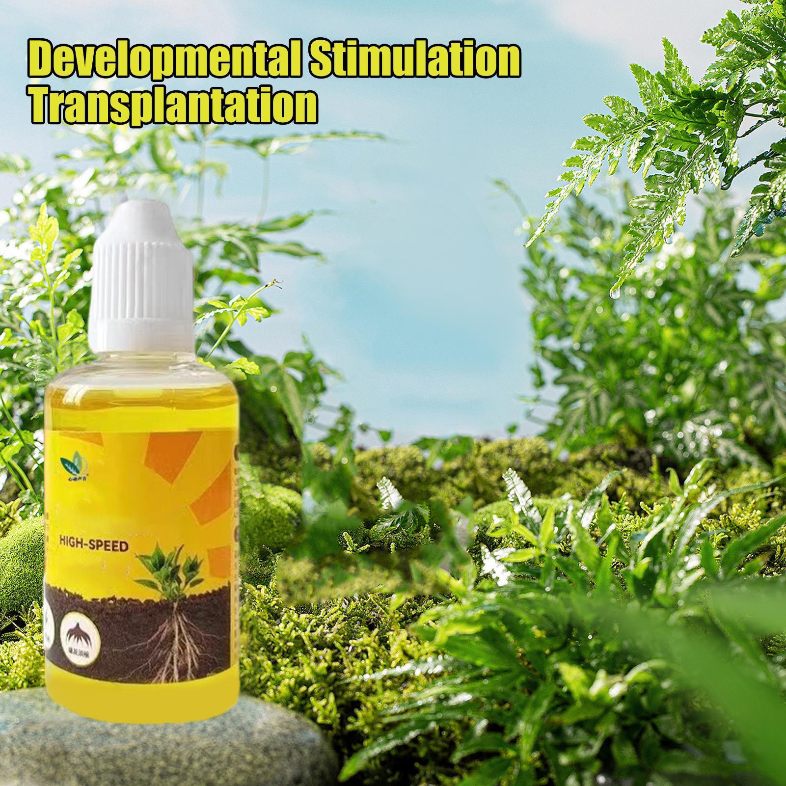 50ml Plant Rooting Stimulator  - Rooting Hormone Powder 评论和价格