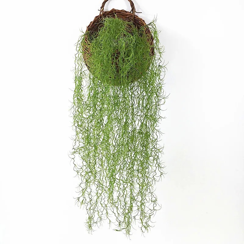 1/3/5pcs Air Grass Green Plant - Sphagnum Moss Dry 评论和价格