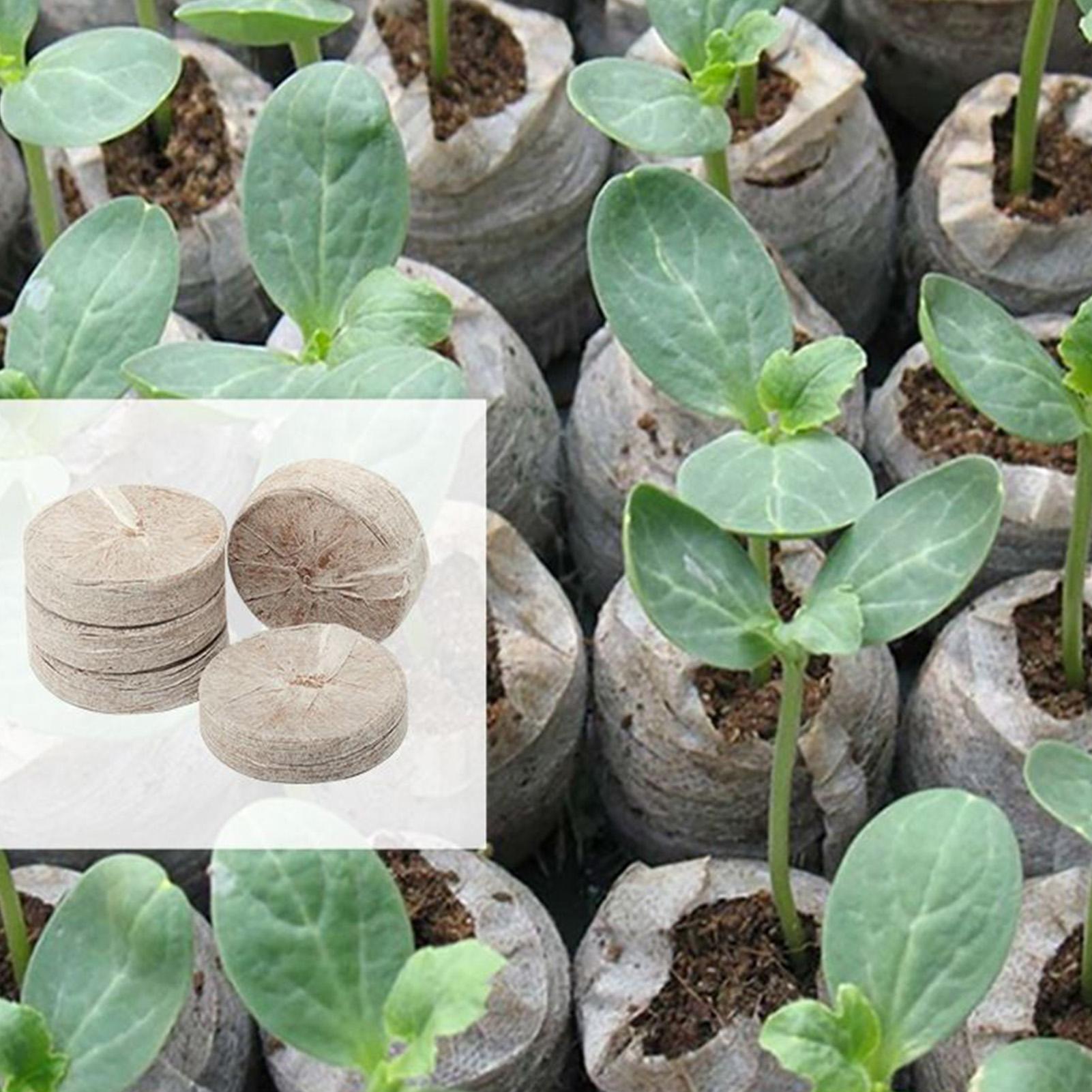 100 Piece Potting Mix Trays 30 - Peat Pellet Tray 评论和价格