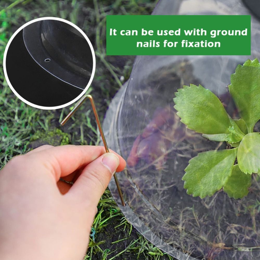 Reusable Clear Plastic Seedlin - Plastic Dome Clear 评论和价格