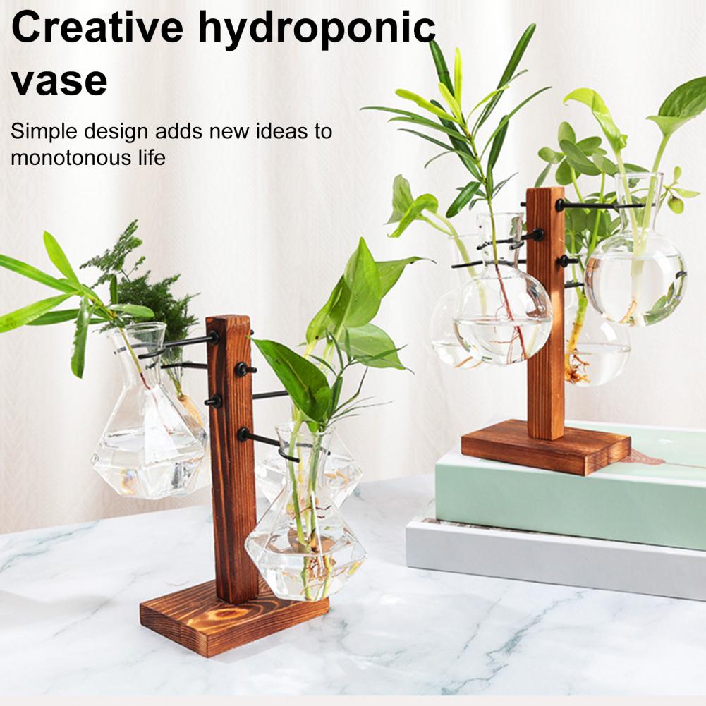 1 Set 10*25cm Plants Propagati - Propagation Station Vase 评论和价格