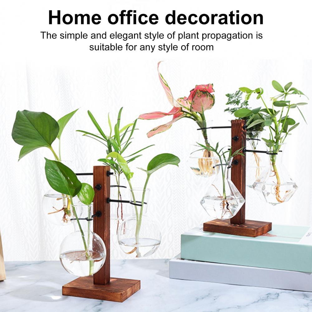 1 Set 10*25cm Plants Propagati - Propagation Station Vase 评论和价格