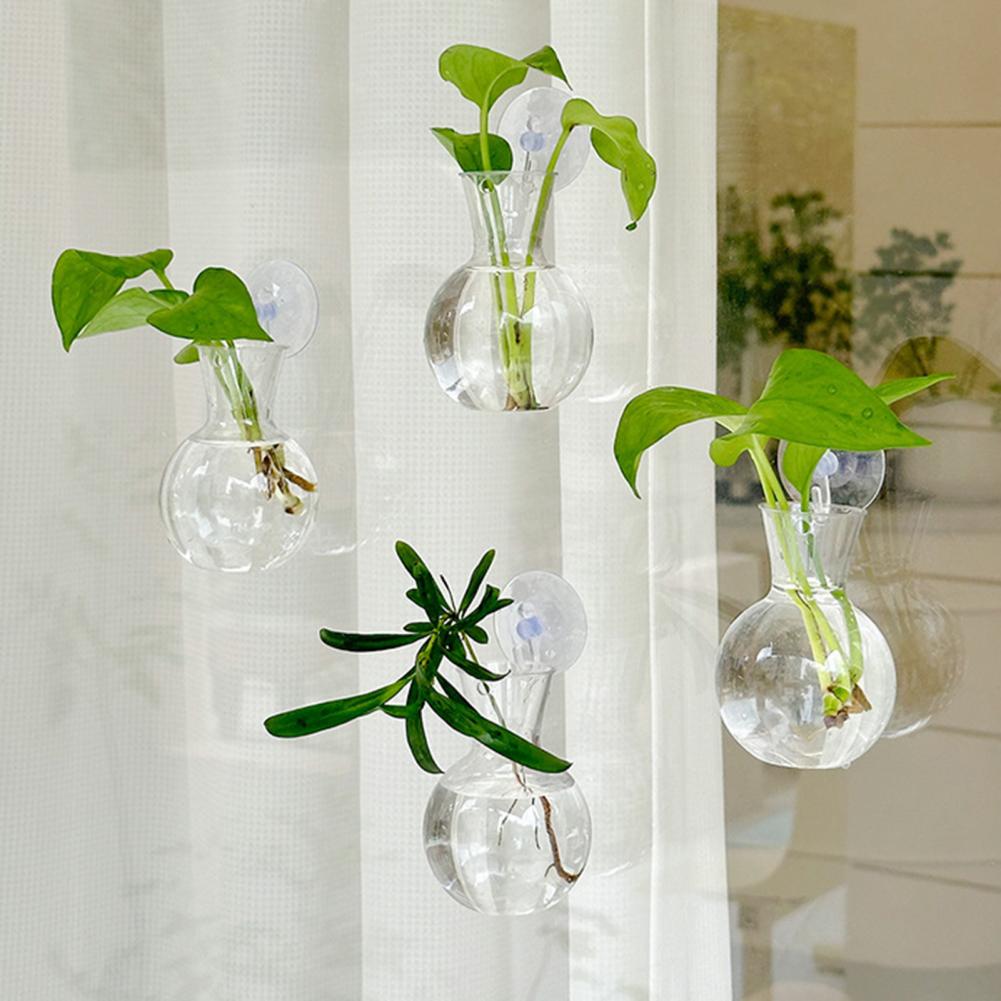 1/2/3/4/6/8Pcs Plant Propagati - Propagation Station Vase 评论和价格