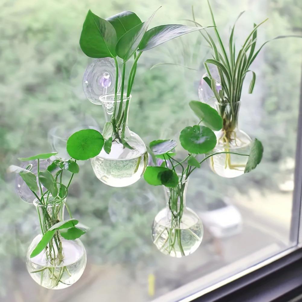 1/2/3/4/6/8Pcs Plant Propagati - Propagation Station Vase 评论和价格