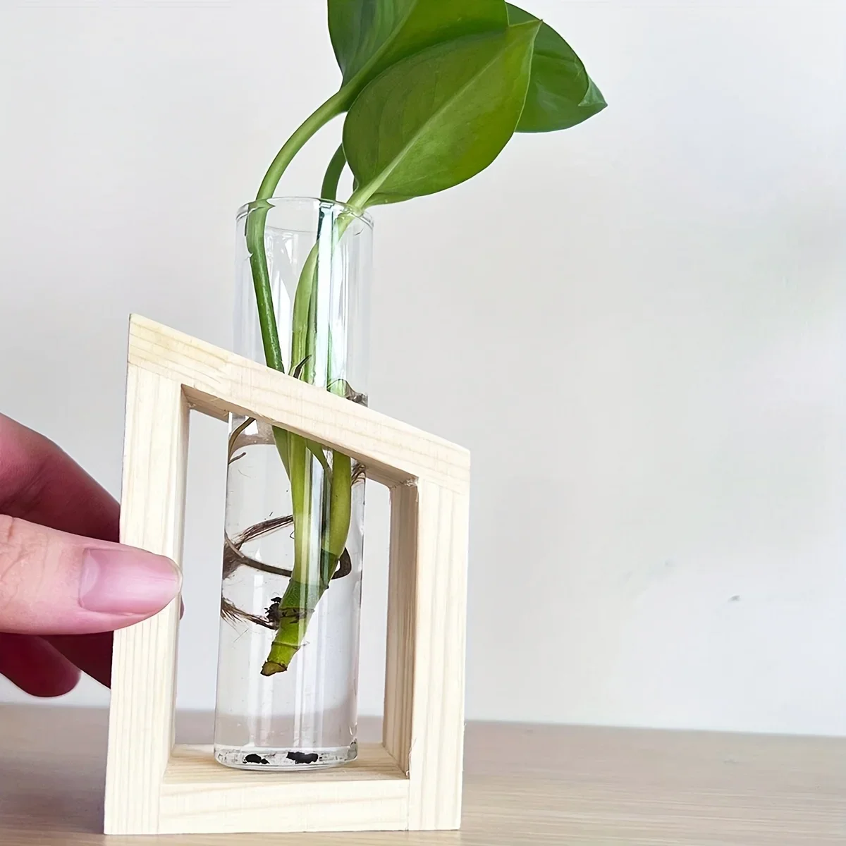 Test Tube Glass Vase Plant Pro - Propagation Station Vase 评论和价格