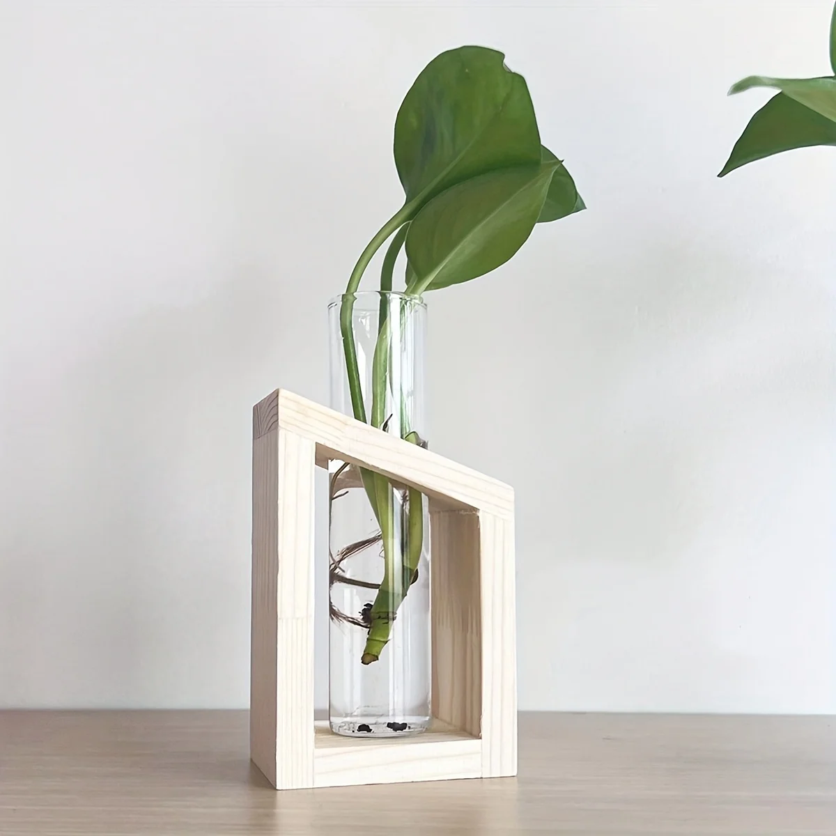 Test Tube Glass Vase Plant Pro - Propagation Station Vase 评论和价格