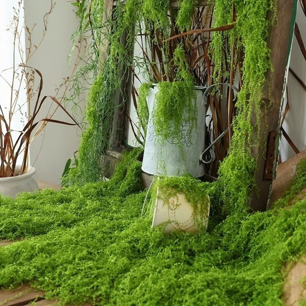 DIY Artificial Grass Rug Durab - Sphagnum Moss Dry 评论和价格