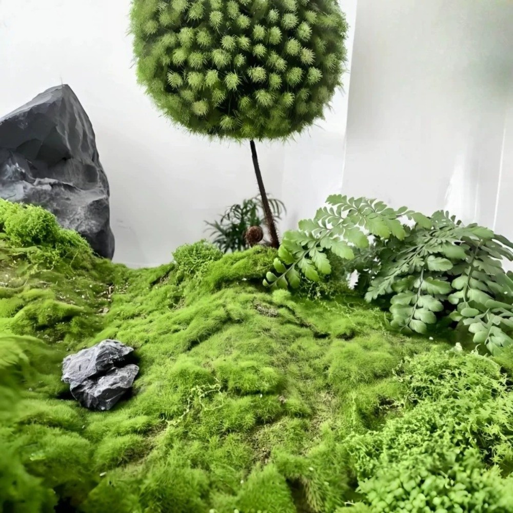 DIY Artificial Grass Rug Durab - Sphagnum Moss Dry 评论和价格