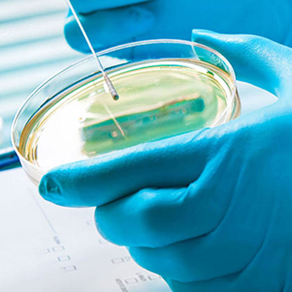 10Pcs Plastic Petri Dishes Tra - Agar Tissue Culture 评论和价格