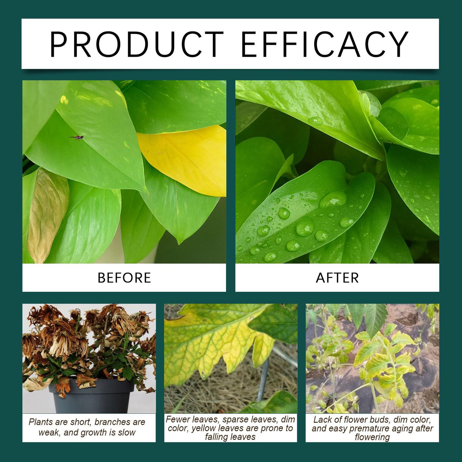 100ml Plant Rooting Liquid Dro - Root Stimulator Liquid 评论和价格